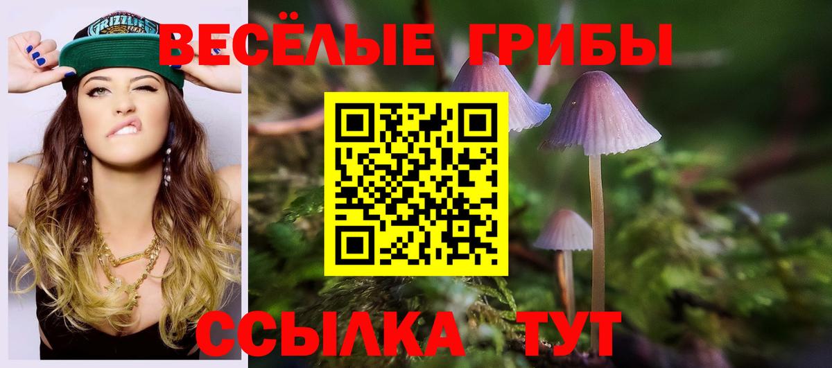 Псилоцибиновые грибы прущие грибы Дзержинск
