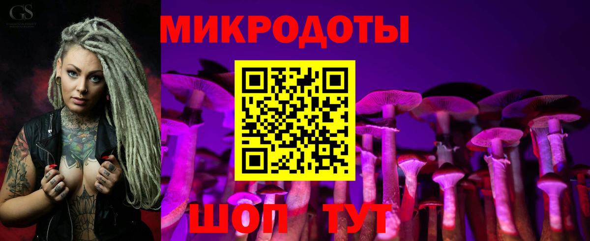 Галлюциногенные грибы Psilocybe  Вход с VPN  Дзержинск 
